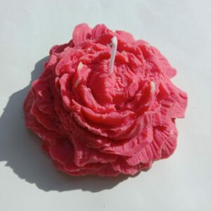 Les bougies fleurs